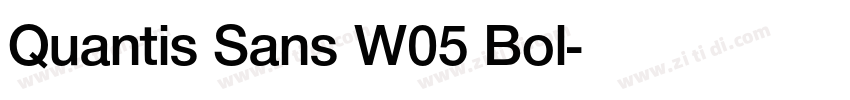 Quantis Sans W05 Bol字体转换